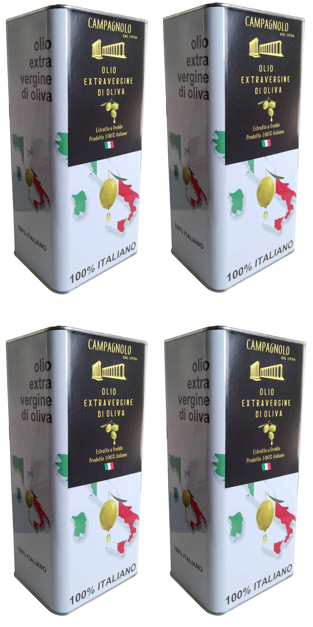 Olio extravergine d’oliva (Imballaggio da 20L)